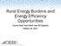 Rural Energy Burdens and Energy Efficiency Opportunities. Lauren Ross, Neal Elliott, and Jill Ferguson October 16, 2017
