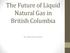 The Future of Liquid Natural Gas in British Columbia. By: Aleksandar Acimovic