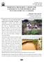 BOREWELL RECHARGE A BOON FOR FARMERS IN WATER DISTRESS AREA SUCCESS STORY OF A FARMER