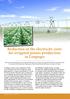 Reduction in the electricity costs for irrigated potato production in Limpopo