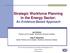 Strategic Workforce Planning in the Energy Sector: An Evidence-Based Approach