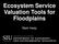 Ecosystem Service Valuation Tools for Floodplains. Mark Healy