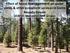 Effect of forest management on water yields & other ecosystem services in Sierra Nevada forests UCB/UC Merced/UCANR project