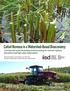 Cattail Biomass in a Watershed-Based Bioeconomy: Commercial-scale harvesting and processing for nutrient capture, biocarbon and high-value bioproducts