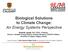 Biological Solutions to Climate Change: An Energy Systems Perspective
