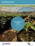 Drip Irrigation in Smallholder Markets: A cross-partnership study