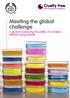 Meeting the global challenge. A guide to assessing the safety of cosmetics without using animals