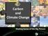 Carbon and Climate Change. Making Sense of the Big Picture