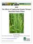2010 The Effects of Topdressing Organic Nitrogen Hard Red Winter Wheat