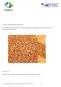 Code of good practice for the monitoring of Mycotoxin in maize and maize co- products (feed materials) derived thereof