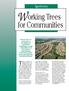 for Communities Today, communities are Agroforestry