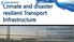 Climate and disaster resilient Transport Infrastructure