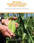 GM crops: Reaping the benefits, but not in Europe. Socio-economic impacts of agricultural biotechnology