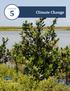 CHAPTER. Climate Change CONTENTS. Introduction Climate Change Action Plan. Coastal Bend Bays Plan, 2nd Edition