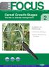 FAR. Cereal Growth Stages. The link to disease management IN ISSUE 2 OF FAR FOCUS: Cereal Growth Stages. Disease Management in Cereals ISSUE