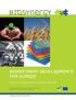 Biorefinery Developments for Europe.   Results of the Integrated Project BIOSYNERGY