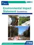 Environmental Impact Statement Guidelines