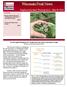 Wisconsin Fruit News. Supplemental Apple Thinning Issue May 25, By: Janet van Zoeren and Amaya Atucha