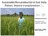 Sustainable Rice production in East India Plateau. Beyond transplantation...