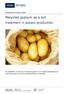 Recycled gypsum as a soil treatment in potato production