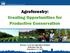 Agroforestry: Creating Opportunities for Productive Conservation