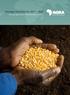Strategy Overview for Inclusive Agricultural Transformation in Africa