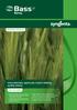Internationally approved, export malting quality barley. WESTERN AUSTRALIA KEY FEATURES