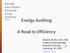 Energy Auditing. A Road to Efficiency