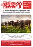 1 st Spring Store Cattle Catalogue Sale Approximately 200 head of cattle entered