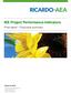 IEE Project Performance Indicators. Final report Executive summary