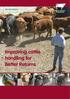 Beef BRP manual 3. Improving cattle handling for Better Returns