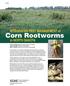 INTEGRATED PEST MANAGEMENT of. Corn Rootworms