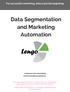 Data Segmentation and Marketing Automation