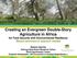 Creating an Evergreen Double-Story Agriculture in Africa for Food Security with Environmental Resilience Recent advances & research needed
