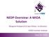 NEDP Overview: A WIOA Solution