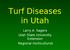 Turf Diseases in Utah. Larry A. Sagers Utah State University Extension Regional Horticulturist