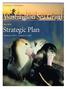 University of Washington Strategic Plan. February 1, 2014 January 31, 2018