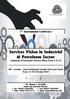 Services Vision in Industrial & Petroleum Sector