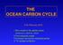 THE OCEAN CARBON CYCLE