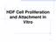 HDF Cell Proliferation and Attachment in Vitro