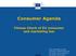 Consumer Agenda Fitness Check of EU consumer and marketing law