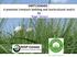 SWITCHGRASS : A premium livestock bedding and horticultural mulch by Roger Samson
