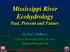 Mississippi River Ecohydrology Past, Present and Future