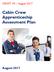 DRAFT V4 August Cabin Crew Apprenticeship Assessment Plan