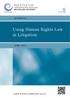 Using Human Rights Law in Litigation