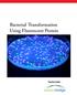 Bacterial Transformation Using Fluorescent Protein Teacher Guide