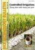 Rice Technology Bulletin Series
