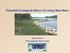 Potential Ecological effects of Living Shorelines. Jana Davis Chesapeake Bay Trust