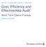 Cost, Efficiency and Effectiveness Audit