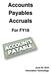 Accounts Payables Accruals